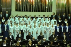 image (20)